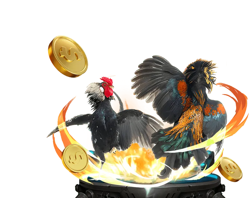 Công nghệ livestream đá gà